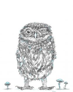 'Crazy little Owl' Giclee print