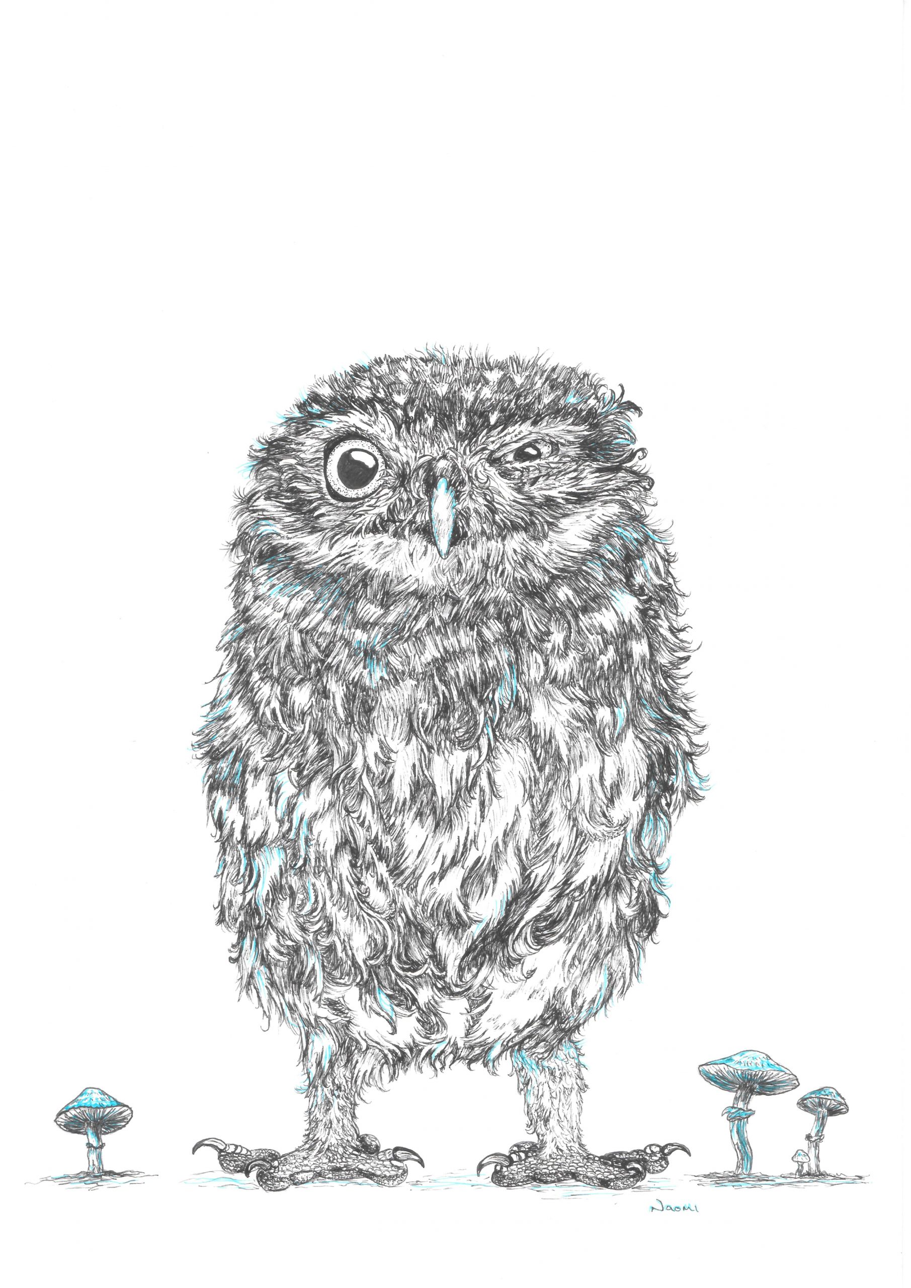 'Crazy little Owl' Giclee print