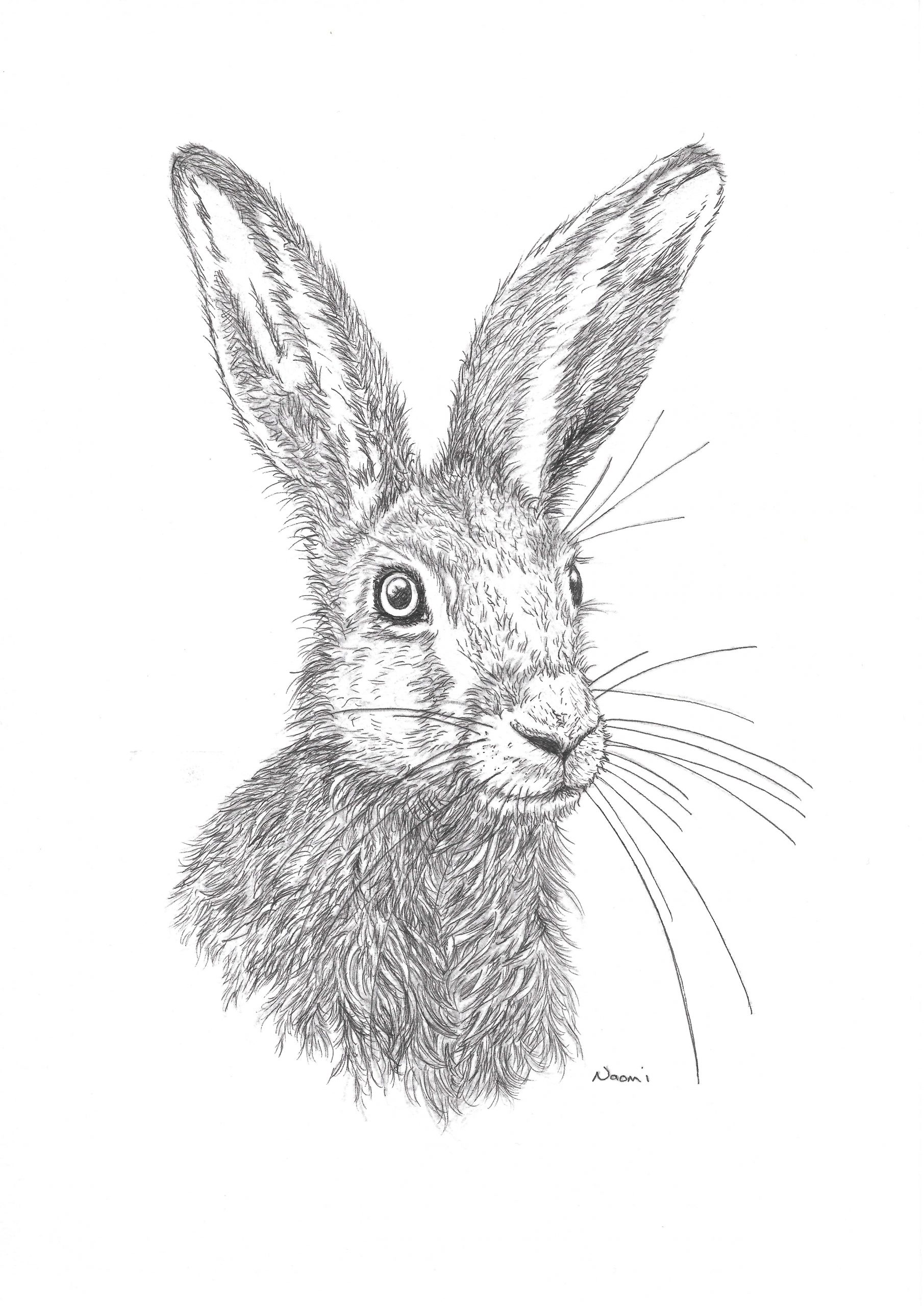 'Hare' Giclee print