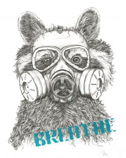 Limited Edition Hand finished Racoon in mask Giclee Print