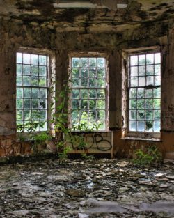 Five windows Giclee print