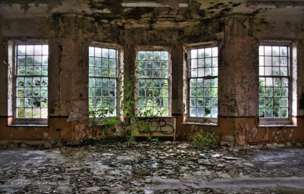 Five windows Giclee print