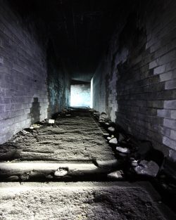 Gun storage? Giclee print