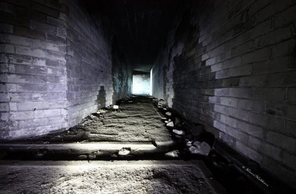 Gun storage? Giclee print