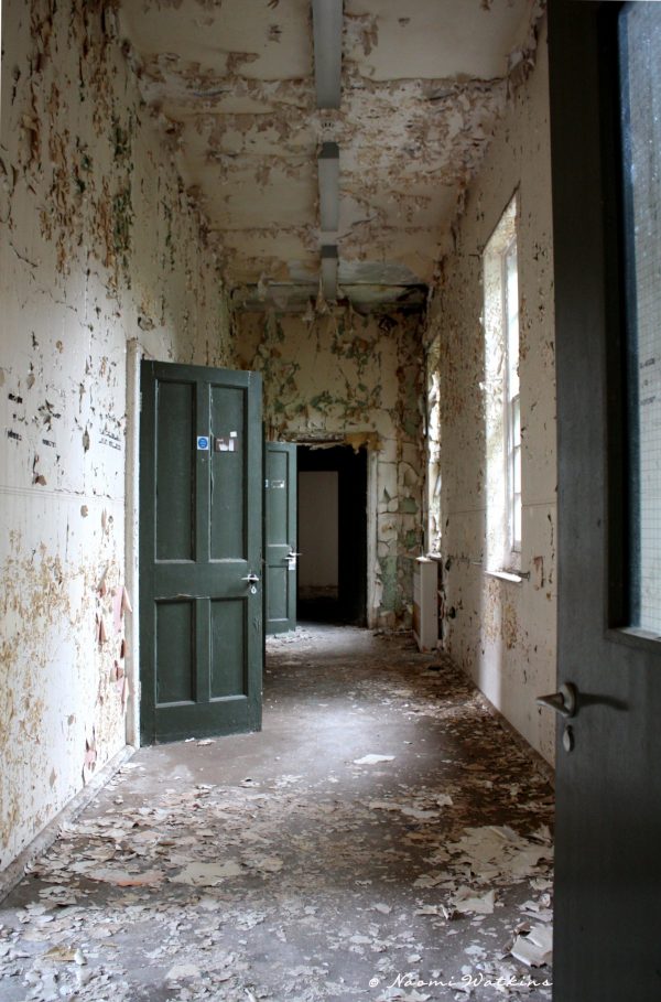 Green Doors Giclee print