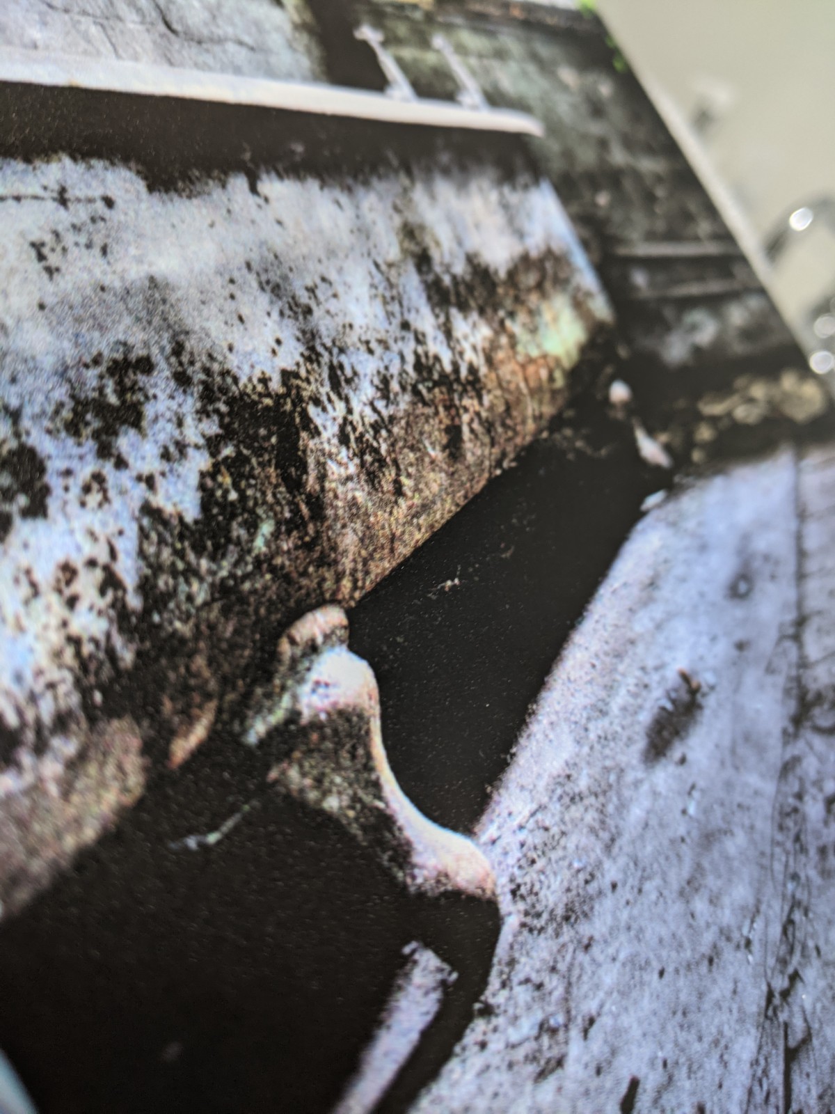 'Bath' Limited Edition Metal print - Image 2