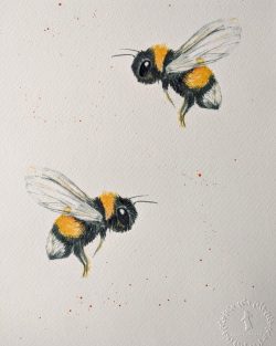 Hand finished water colour bee print