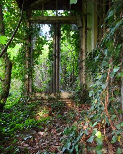 Greenhouse Giclee print