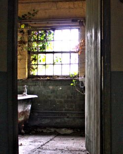 Bath, sink Giclee print