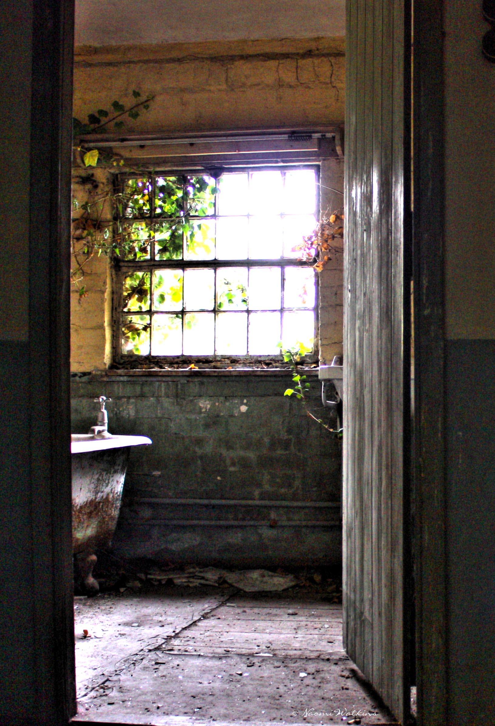 Bath, sink Giclee print