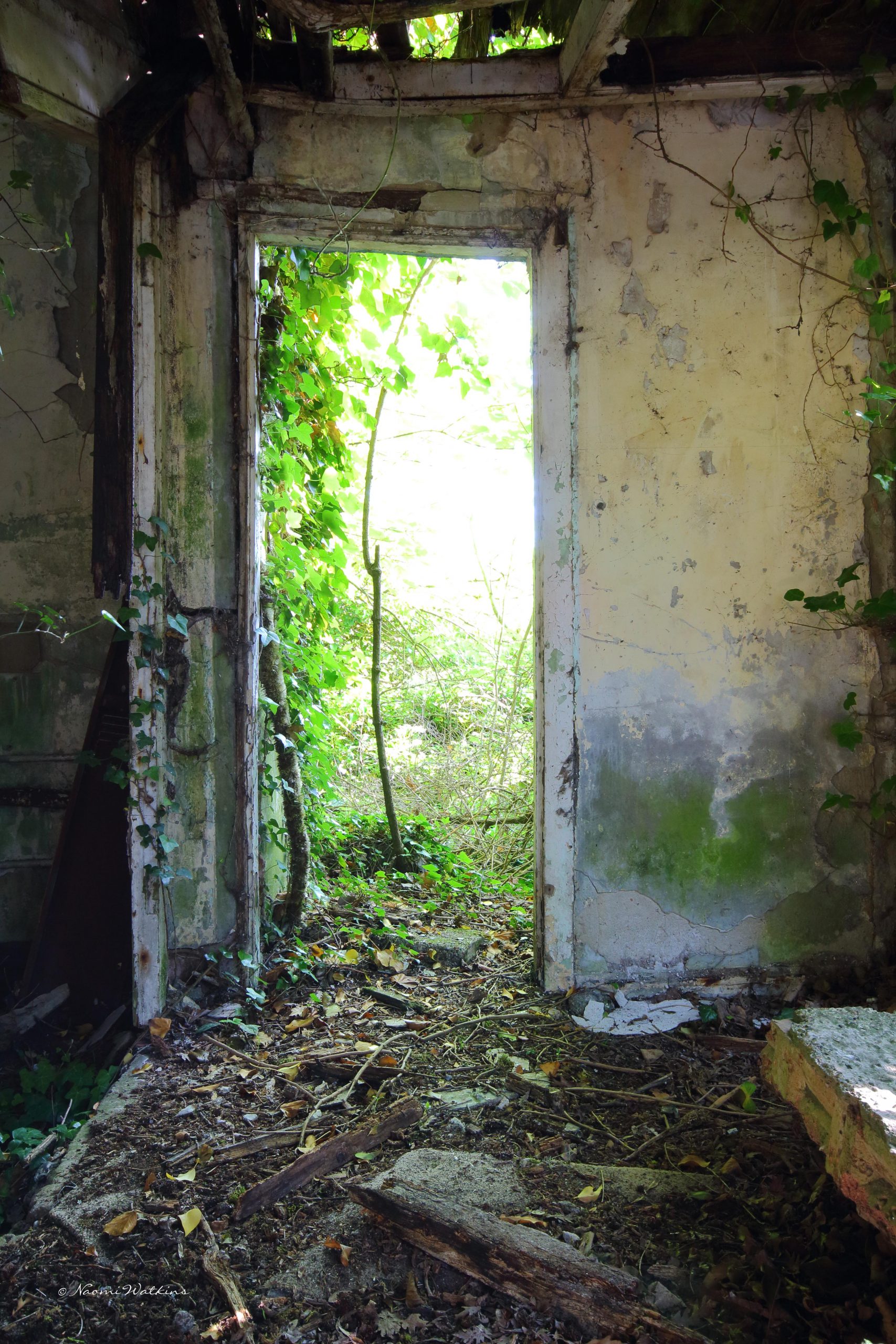 Doorway Giclee print