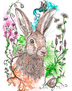 'The Wild ones VII' (Hare) hand finished Giclee print